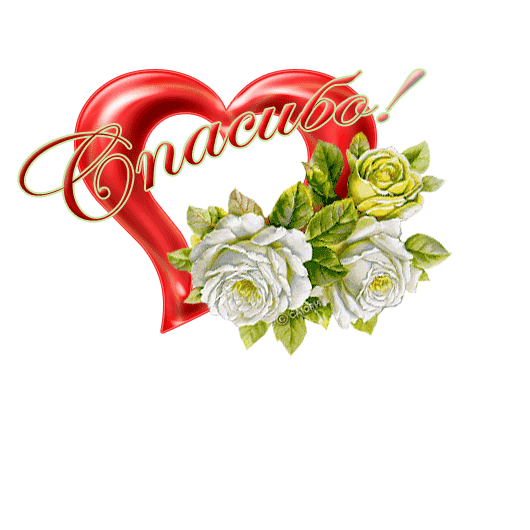 сердечко